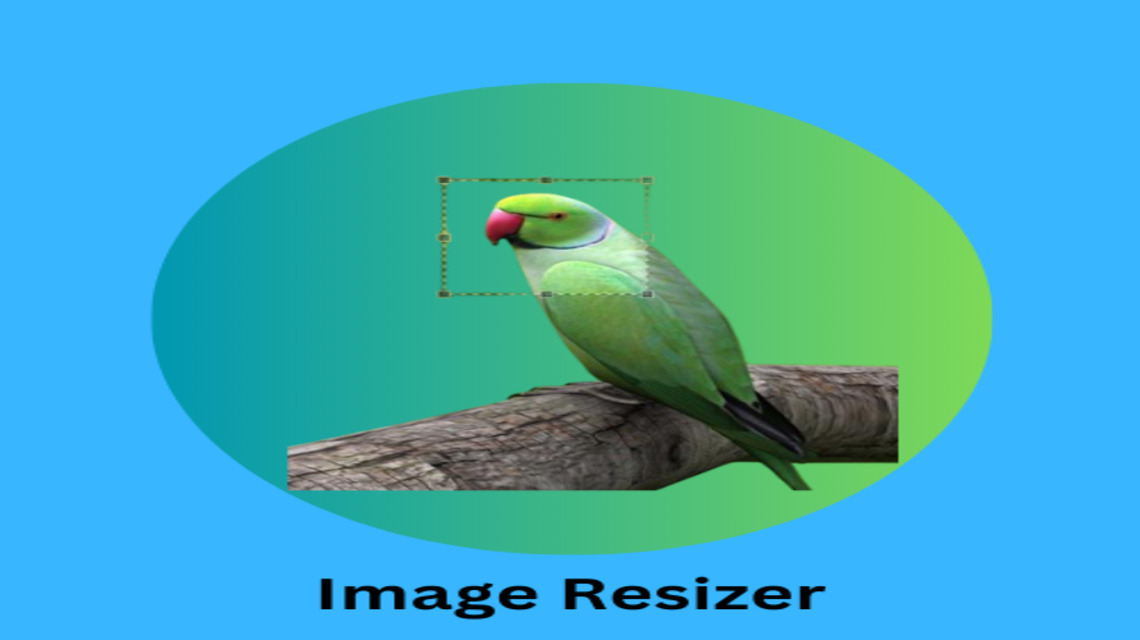 Best Free Image Resizer Online