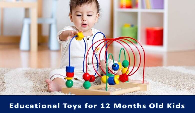 Educational Toys for 12 Months Old Kids