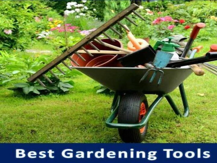 Best Gardening Tools for Seniors