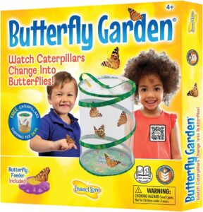 Insect Lore - Butterfly Growing Kit