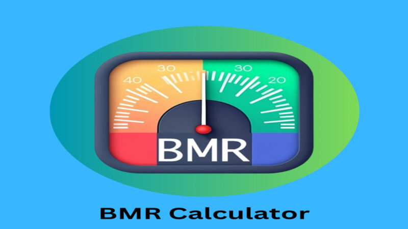 BMR Calculator Online Free
